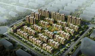 �����ϳ���������